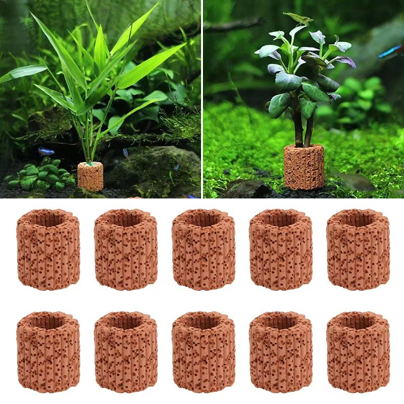 Marine Aquarium All In One - Aquatic Plant Fixed Ring for Aquarium