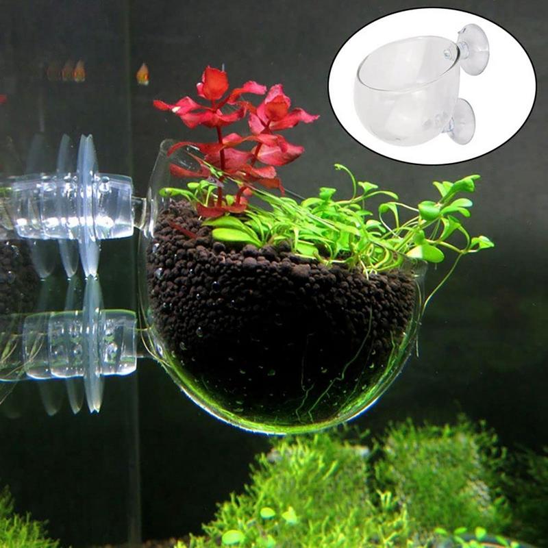 Aquarium Innovative Marine - Aquarium Decorations Plant Cup Pot Acrylic