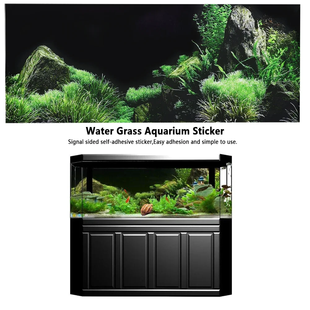 Background for Aquarium 3d Sti - Aquarium Innovative Marine recension och pris