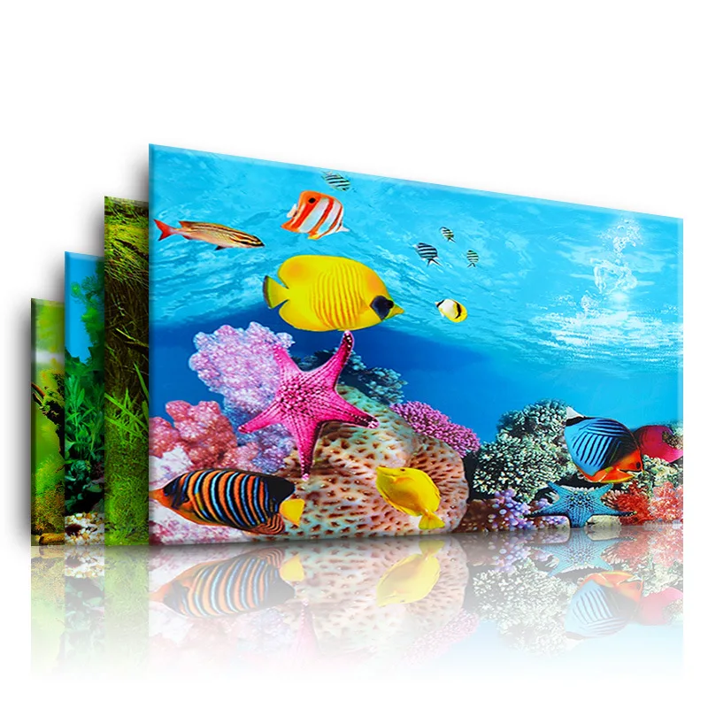 Background for Aquarium 3d  St - Marine Aquarium All In One recension och pris