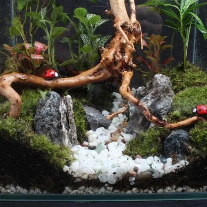 Natural Tree Trunk Driftwood A - Marine Aquarium All In One recension och pris