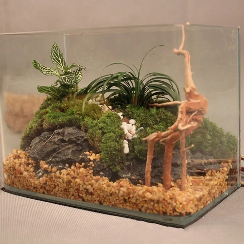 Natural Tree Trunk Driftwood A - Marine Aquarium All In One recension och pris