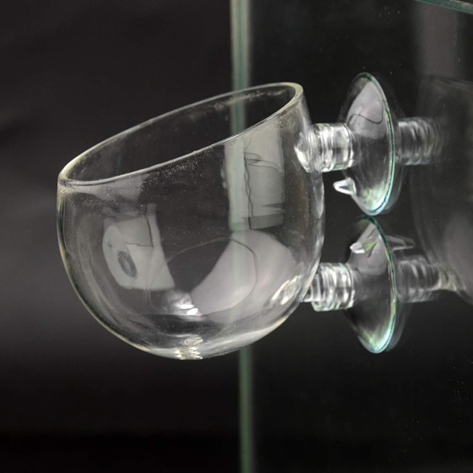 Aquarium Plant Holder Glass Aq - Marine Aquarium Live recension och pris