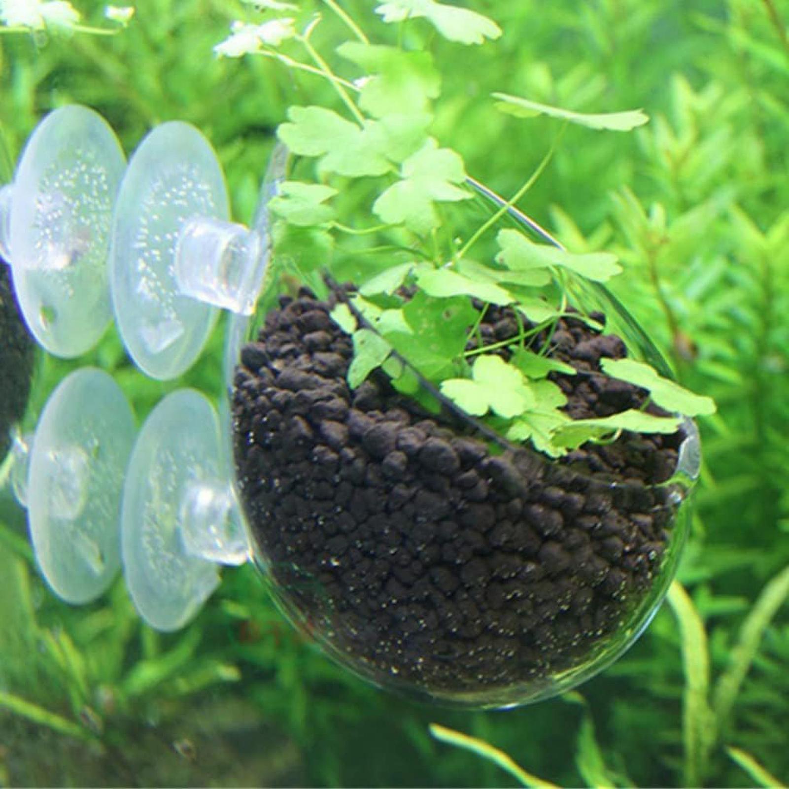 Aquarium Plant Holder Glass Aq - Marine Aquarium Live recension och pris
