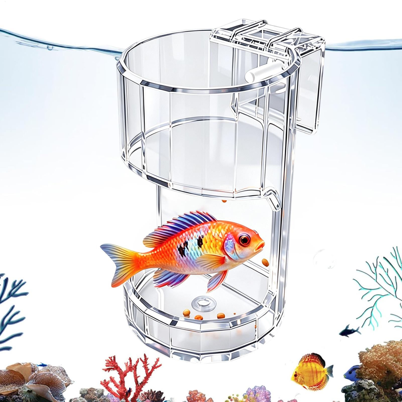 Aquarium Feeding Dish Transpar - Marine Aquarium Live recension och pris