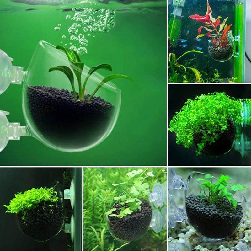 Aquarium Decorations Plant Cup - Aquarium Innovative Marine recension och pris