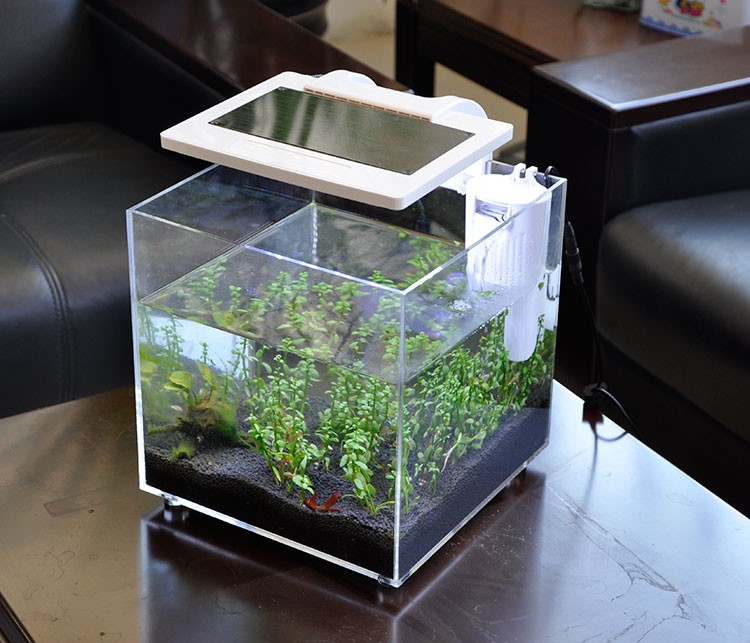 Mini Acrylic (25*25*25cm) Sale - Aquarium Marina recension och pris