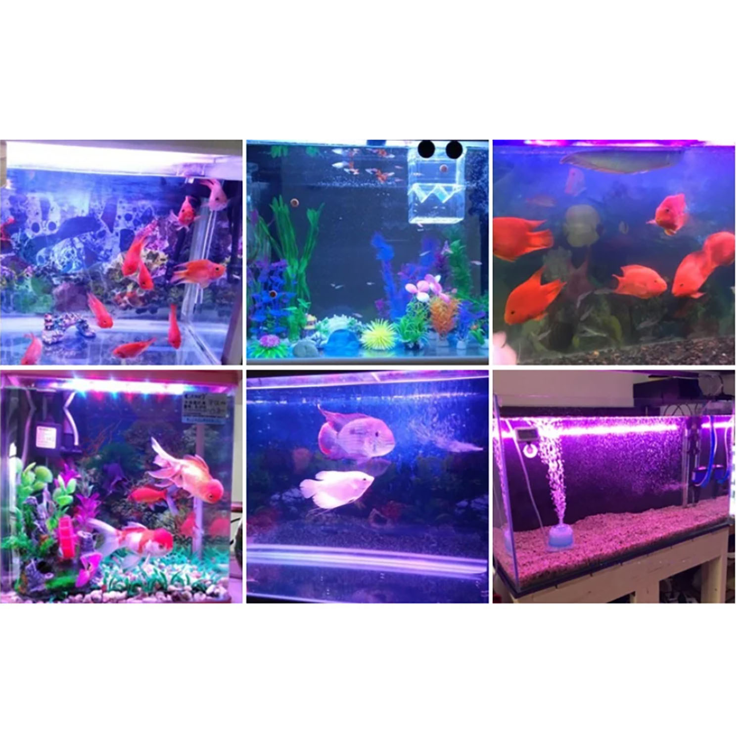 50W 60W 70W 100W RGB 26-28V Hi - Marine Aquarium Uv Light recension och pris