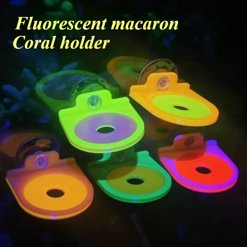 Color Random Coral Frag Holder - Marine Aquarium Live recension och pris