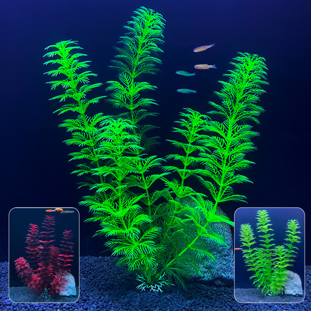 14cm - 30cm Fake Aquarium Plan - Aquarium Innovative Marine recension och pris