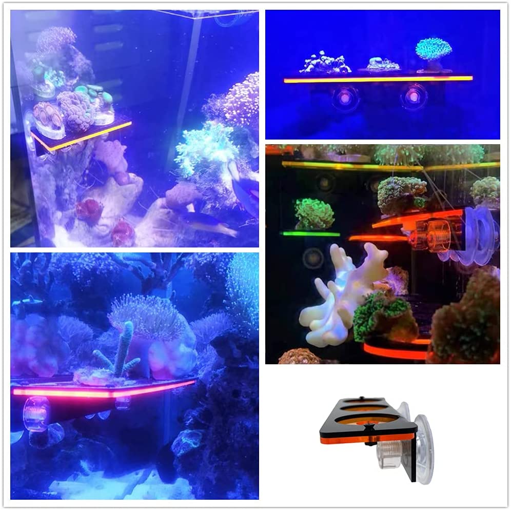Fluorescent Coral Frag Plug Br - Marine Aquarium All In One recension och pris