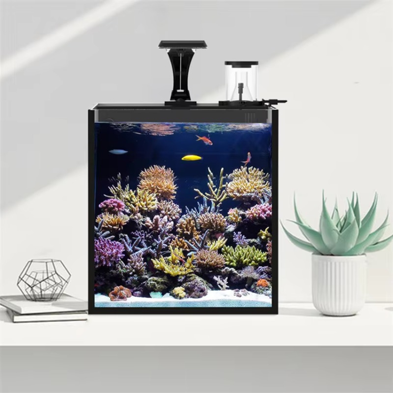 Table Curved Saltwater Marine  - Marine Aquarium All In One recension och pris